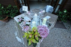 561976_287348904714214_895066665_n